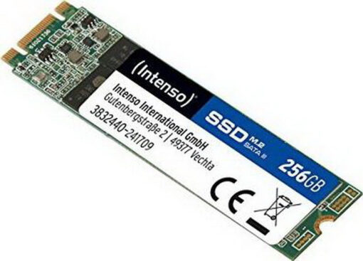 Intenso Top 256GB M.2 3832440