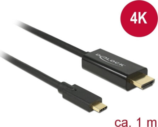 DeLock HDMI 1.3 HDMI male - USB-C male 1m Μαύρο (85258)