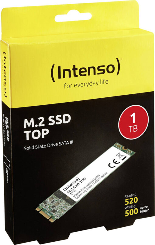 Intenso Top 1TB M.2 3832460