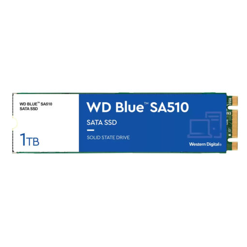Western Digital Blue SA510 1TB M.2 WDS100T3B0B