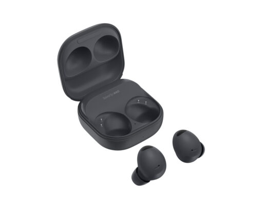 Samsung Galaxy Buds2 Pro Graphite