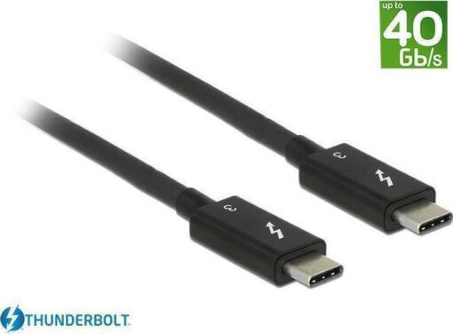 Captiva USB 3.1 USB-C male - USB-C 100W 1.5m (80301)