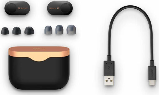 Sony WF-1000XM3 In-ear Μαύρα - Image 3