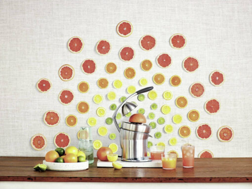Sage The Citrus Press Pro Ηλεκτρικός Στίφτης 110W Inox - Image 4