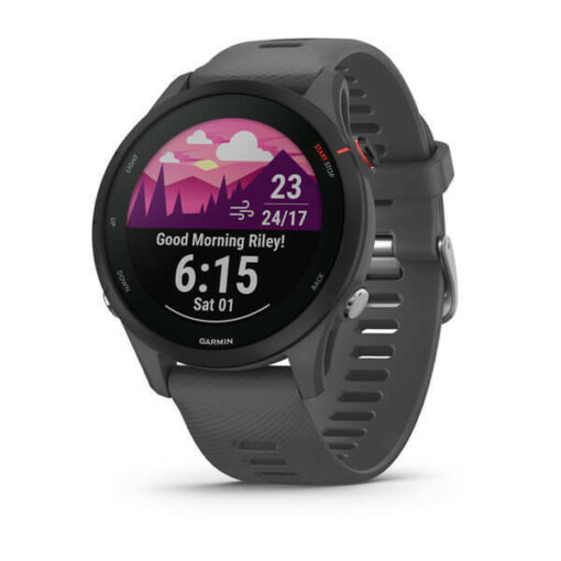 Garmin Forerunner 255 46mm - Image 2