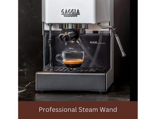 Gaggia Classic Evo V24 Ημιαυτόματη για Αλεσμένο Καφέ - Image 6