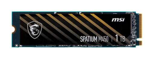 MSI Spatium M450 M.2