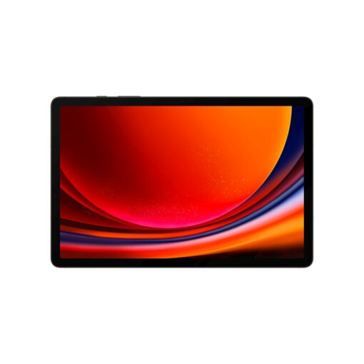 Samsung Galaxy Tab S9 11" (12GB/256GB) Graphite - Image 2
