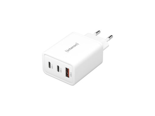 Intenso W65ACC USB-C Χωρίς Καλώδιο 65W - Image 4