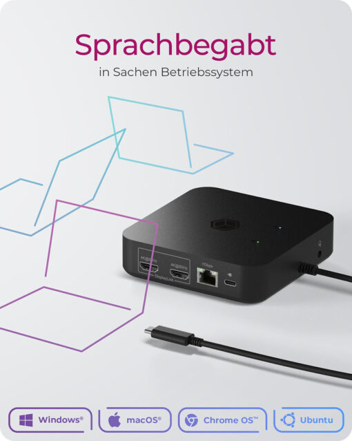 Icy Box USB-C Docking Station με HDMI 4K PD Ethernet (IB-DK4090-C) - Image 2