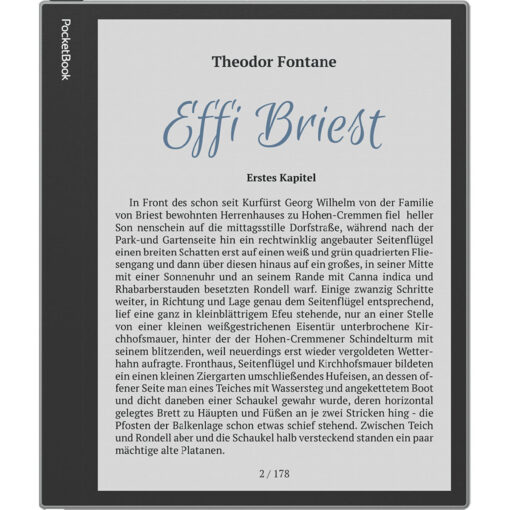 Pocketbook InkPad Eo με Οθόνη Αφής 10.3" (64GB) Γκρι - Image 3