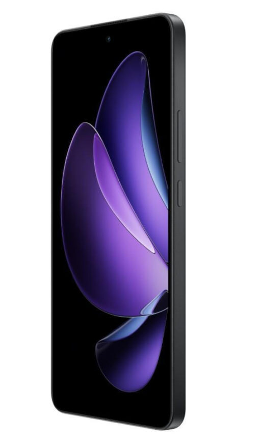 Oppo Reno13 F 5G Dual SIM (8GB/256GB) Graphite Grey - Image 3