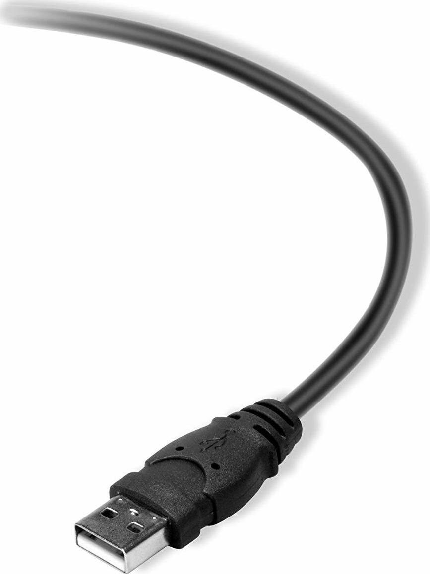 Belkin USB 2.0 Cable USB-A male - USB-B male 3m (F3U154BT3M) - Image 3
