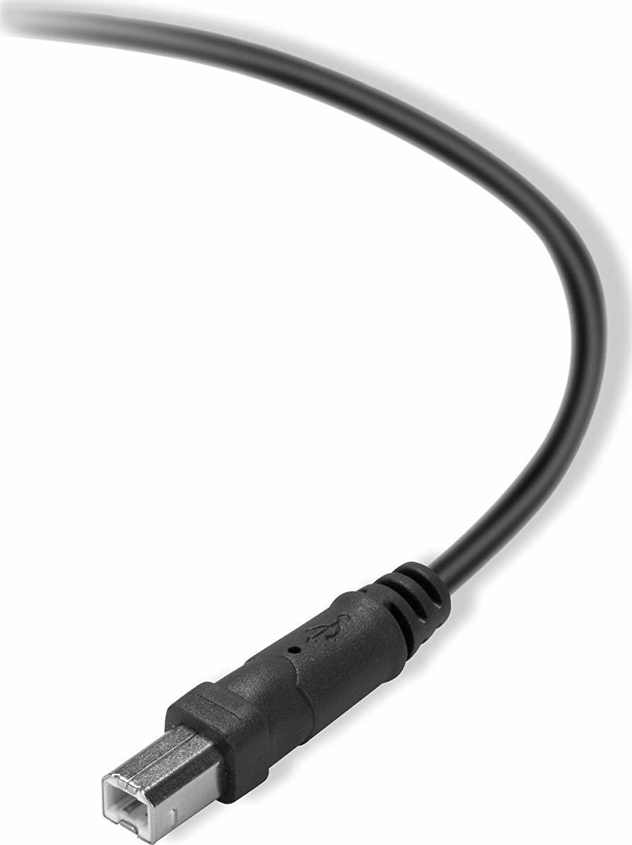Belkin USB 2.0 Cable USB-A male - USB-B male 3m (F3U154BT3M) - Image 2