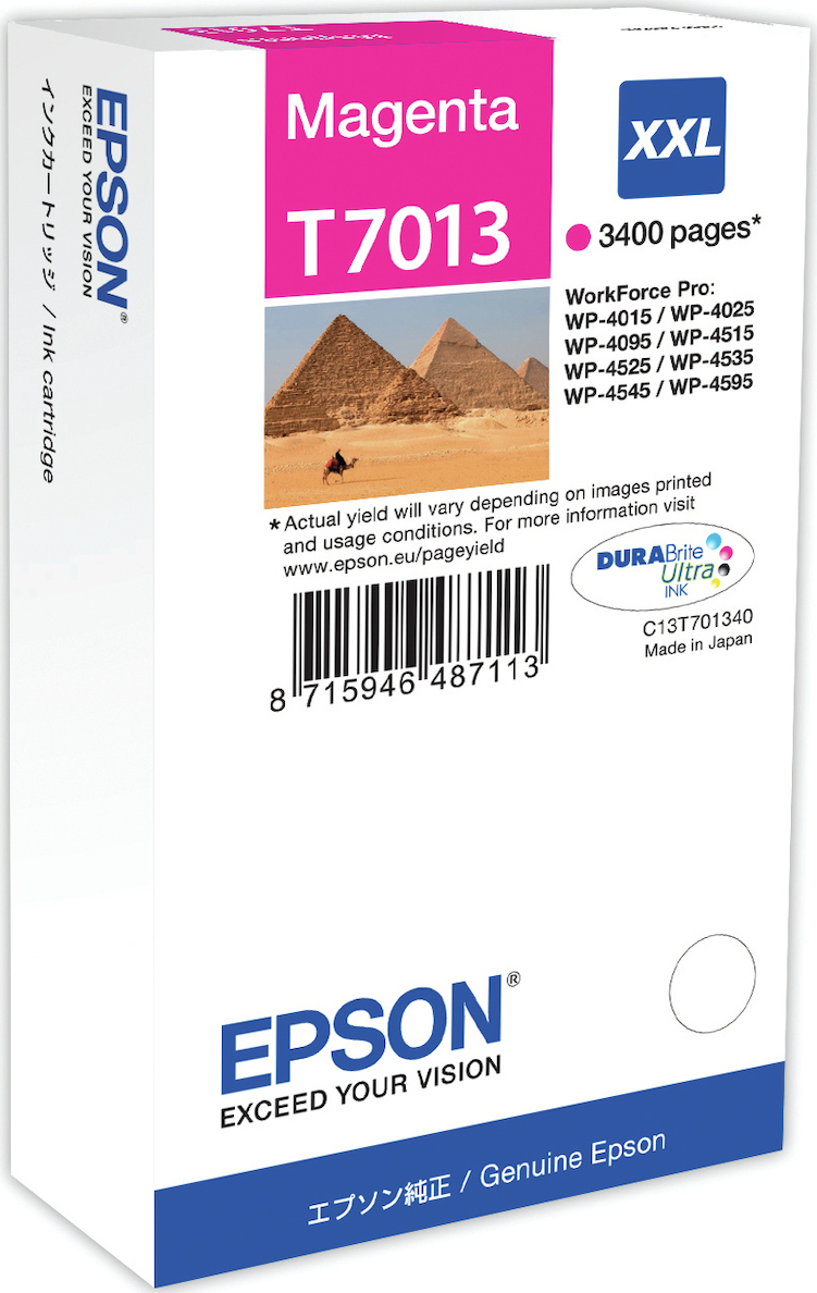 Epson T7013 Γνήσιο Μελάνι Εκτυπωτή InkJet Ματζέντα (C13T70134010)