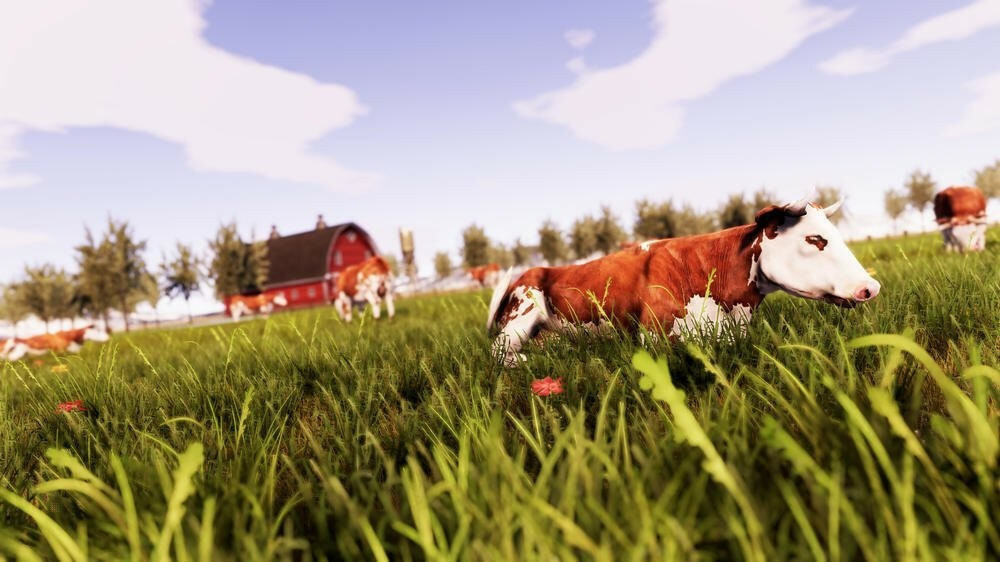 Real Farm - Image 3