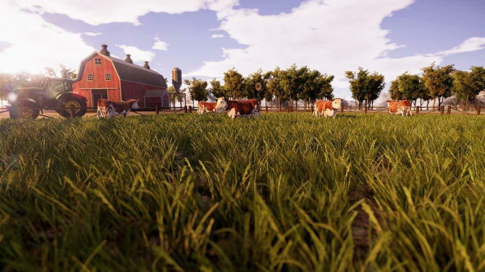 Real Farm - Image 6