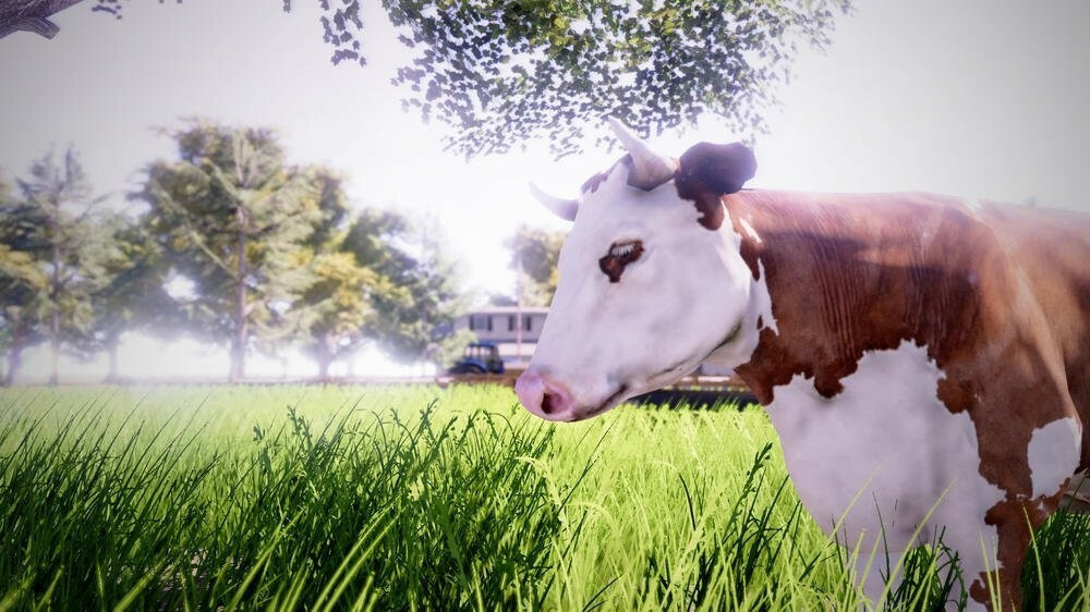 Real Farm - Image 5