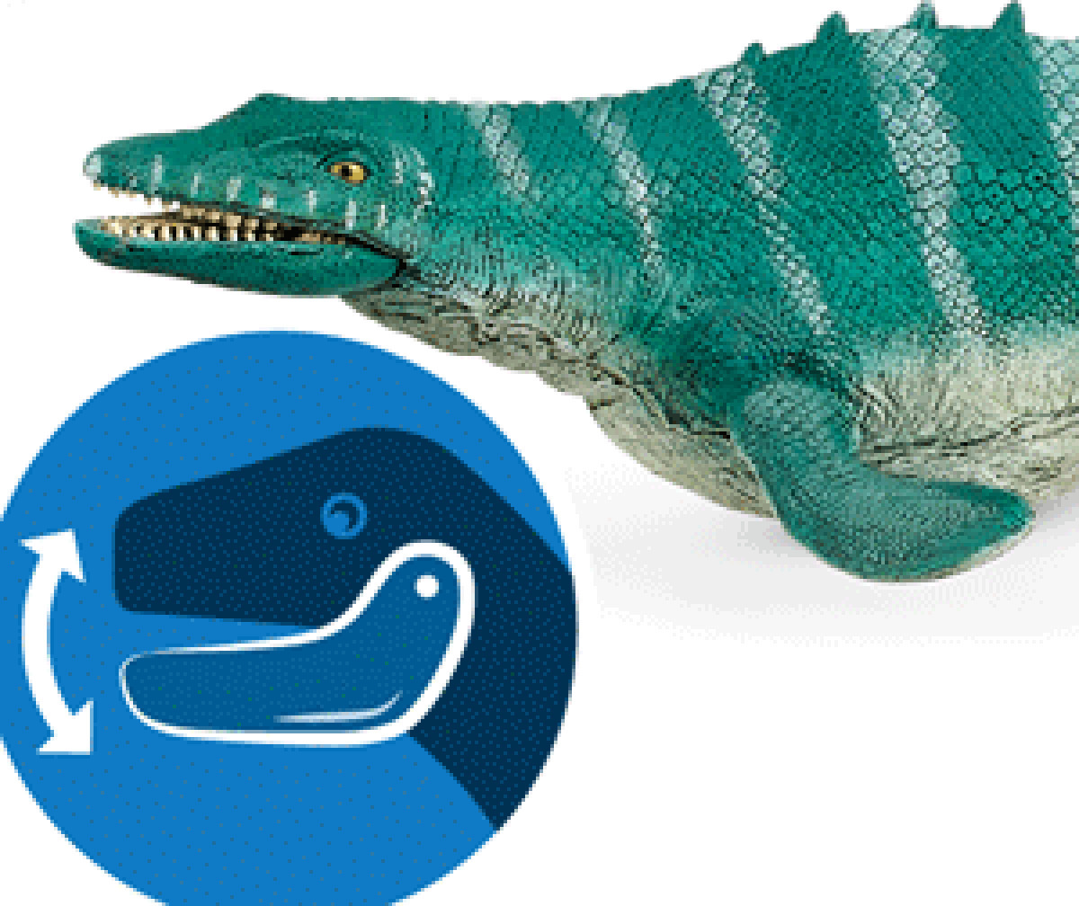 Schleich-S Παιχνίδι Μινιατούρα Mosasaurus για 4+ Ετών 32εκ. - Image 2