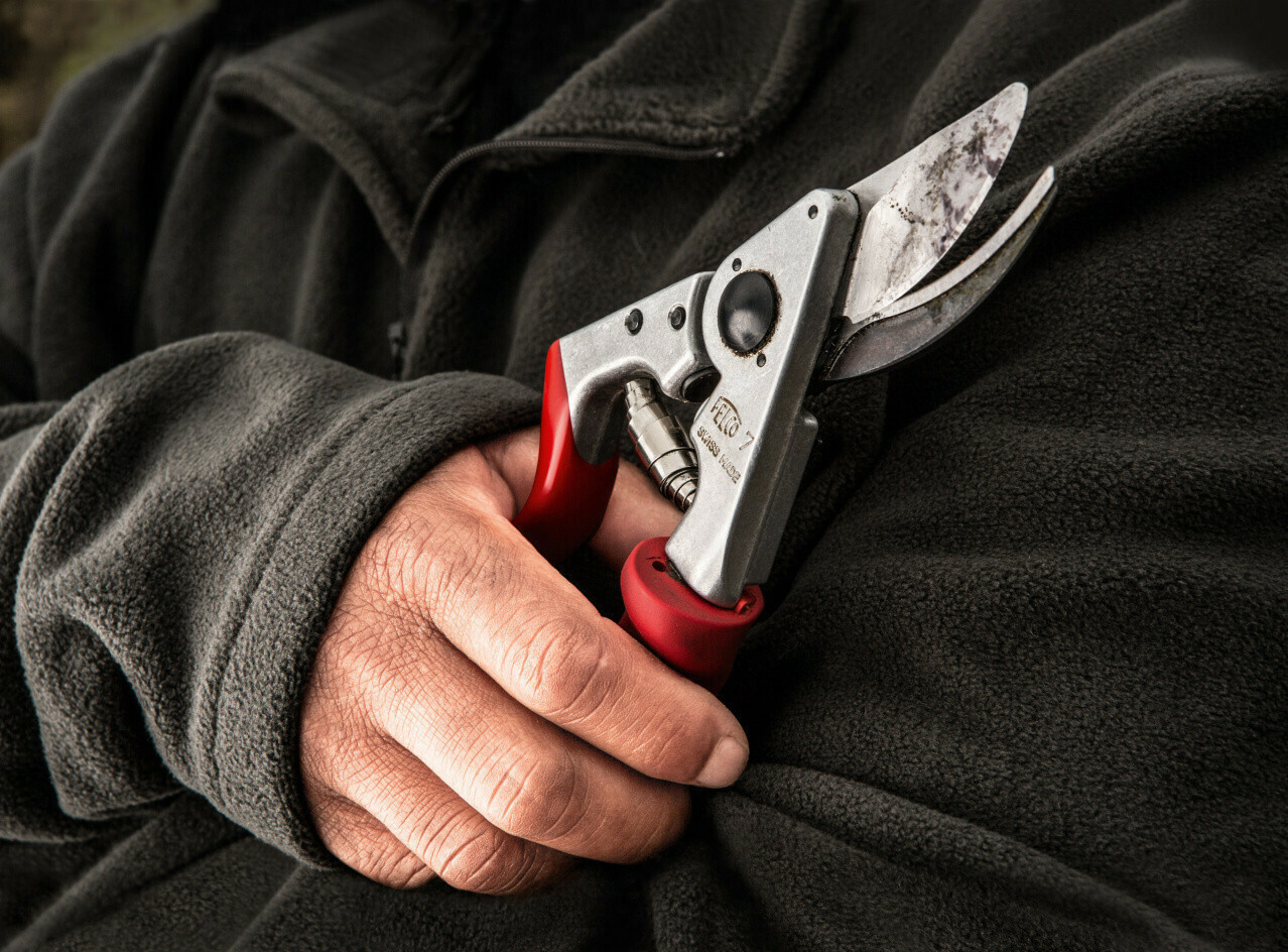 Felco 7 Ψαλίδι Κλαδέματος - Image 5