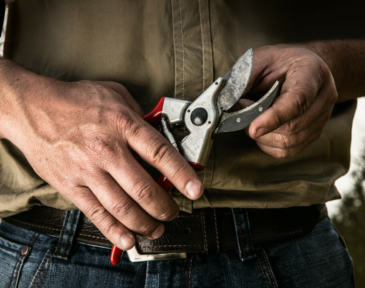 Felco 4 Ψαλίδι Κλαδέματος - Image 9