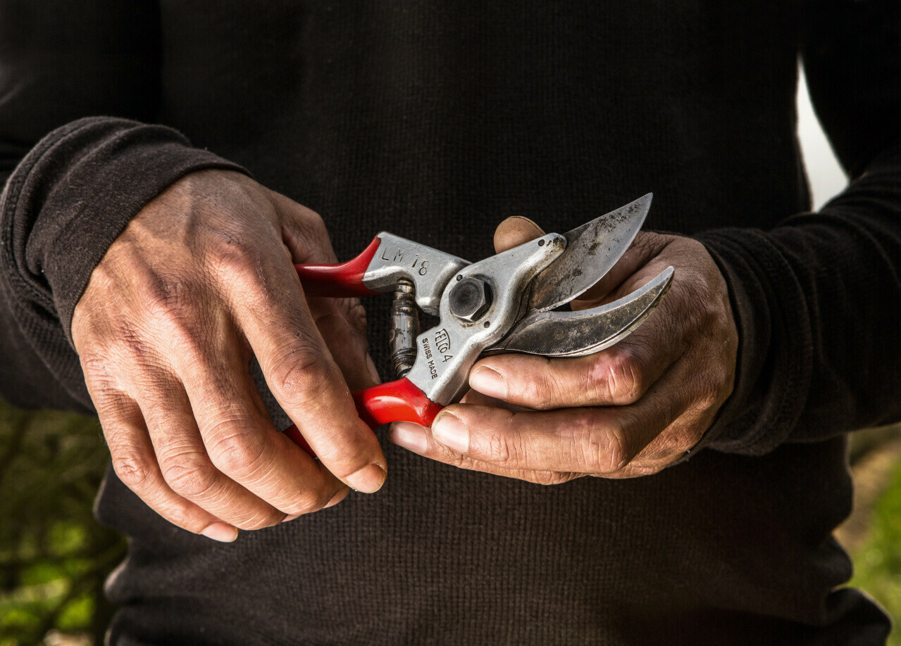 Felco 4 Ψαλίδι Κλαδέματος - Image 6