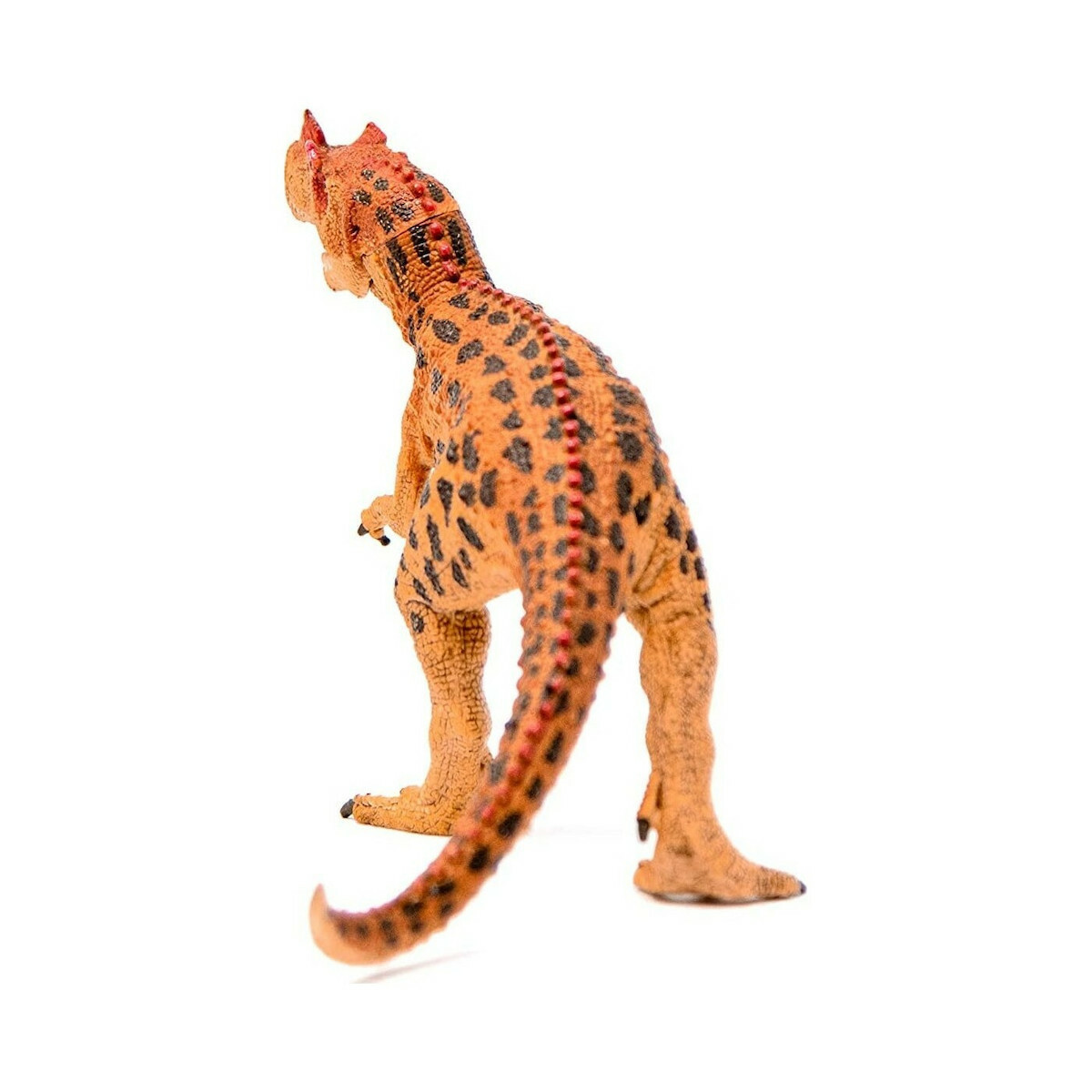 Schleich-S Παιχνίδι Μινιατούρα Ceratosaurus 19εκ. - Image 3