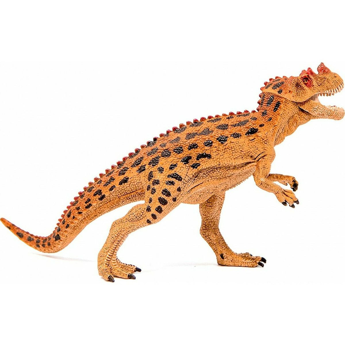 Schleich-S Παιχνίδι Μινιατούρα Ceratosaurus 19εκ. - Image 5