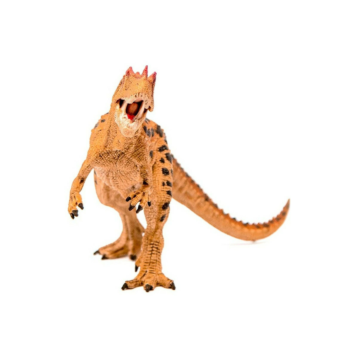 Schleich-S Παιχνίδι Μινιατούρα Ceratosaurus 19εκ. - Image 4