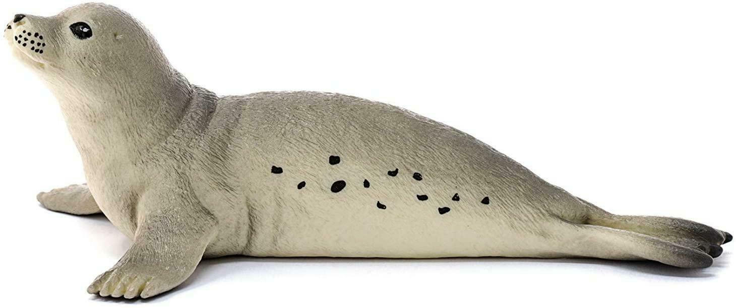 Schleich-S Παιχνίδι Μινιατούρα Wild Life Seal για 3+ Ετών (Διάφορα Σχέδια) 1τμχ - Image 3