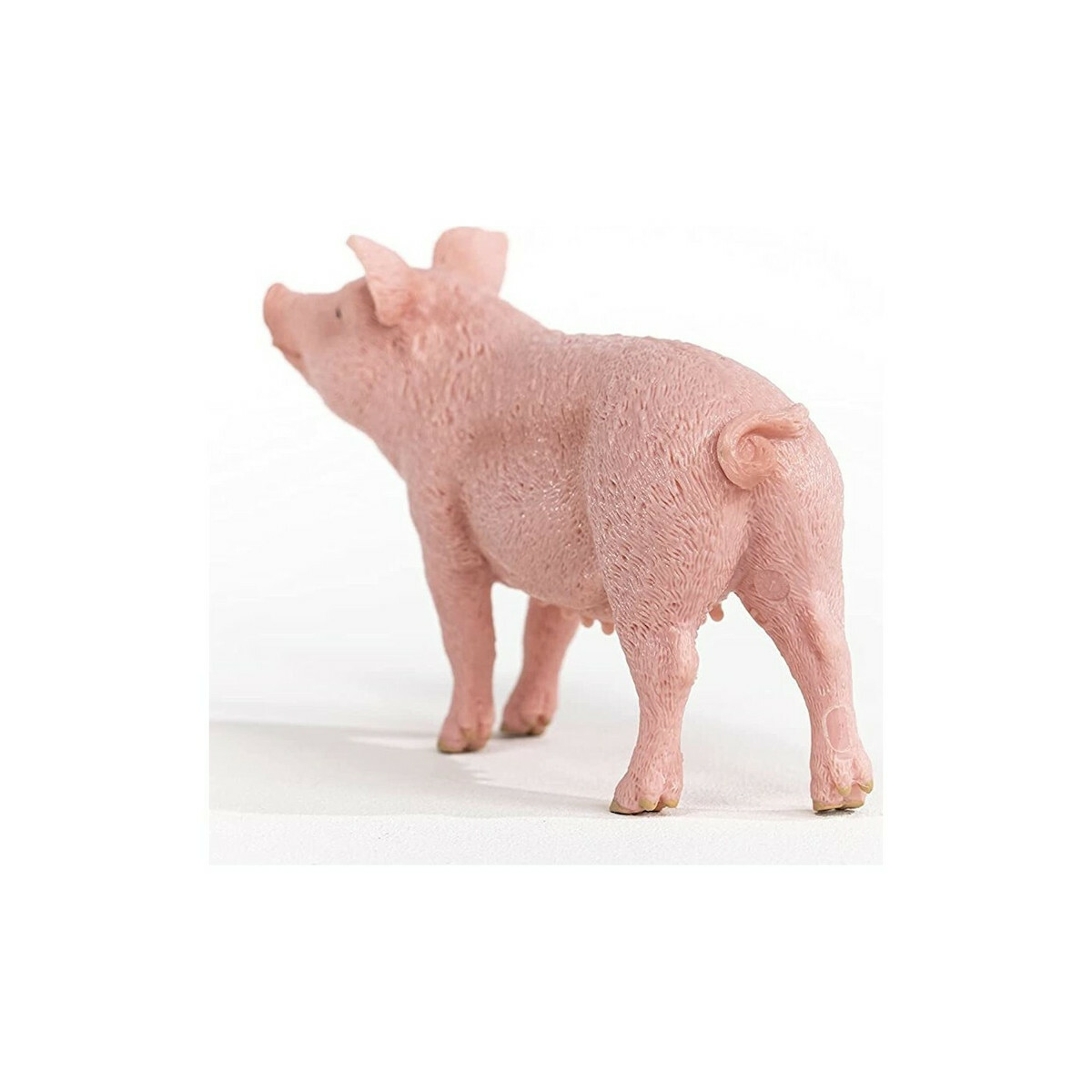 Schleich-S Παιχνίδι Μινιατούρα Γουρούνι Θηλυκό - Image 4