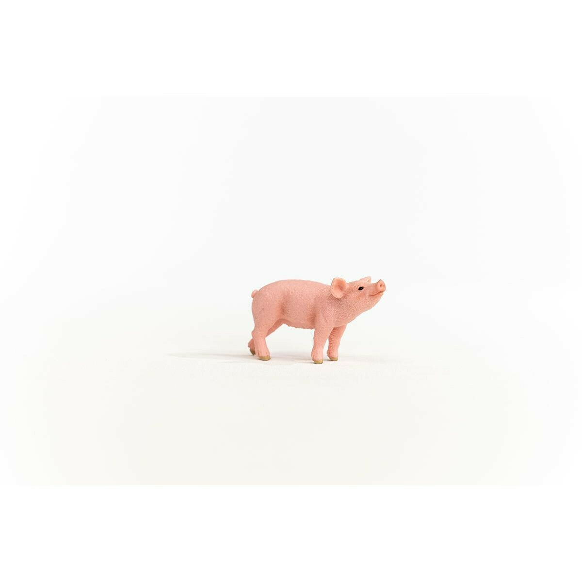 Schleich-S Παιχνίδι Μινιατούρα Γουρουνάκι για 3+ Ετών - Image 4