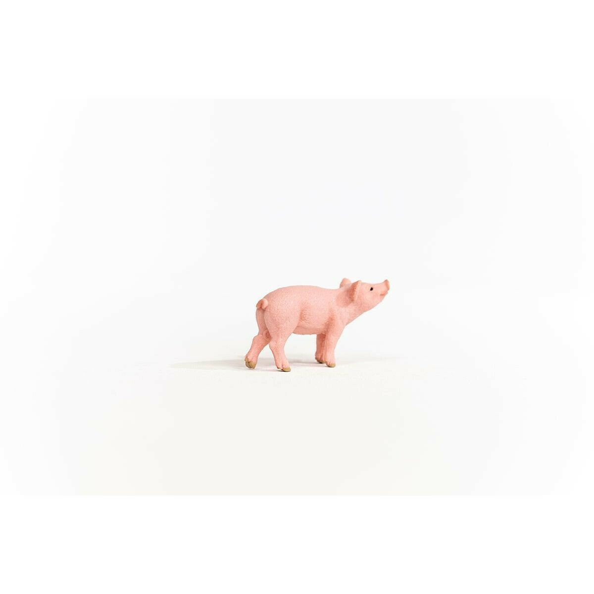 Schleich-S Παιχνίδι Μινιατούρα Γουρουνάκι για 3+ Ετών - Image 3