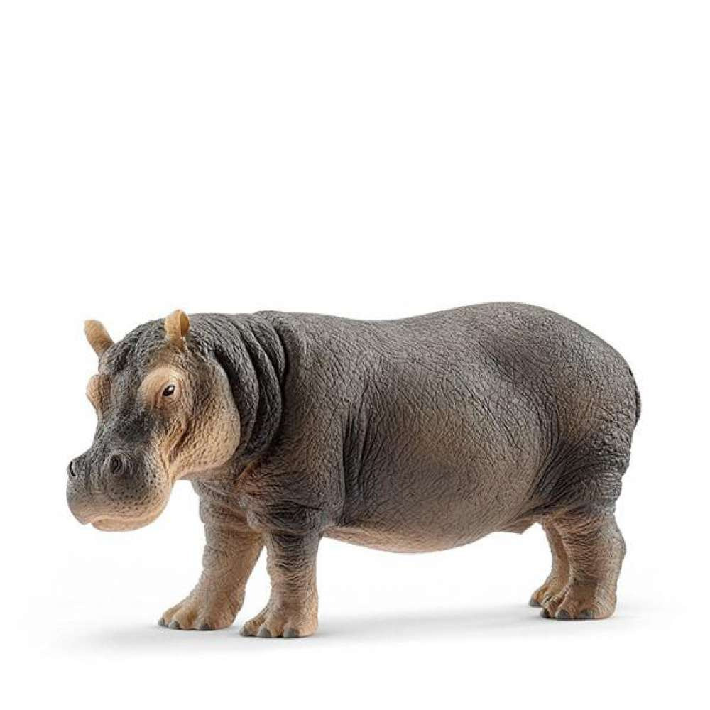 Schleich-S Παιχνίδι Μινιατούρα Wild Life Hippopotamus για 3+ Ετών - Image 2