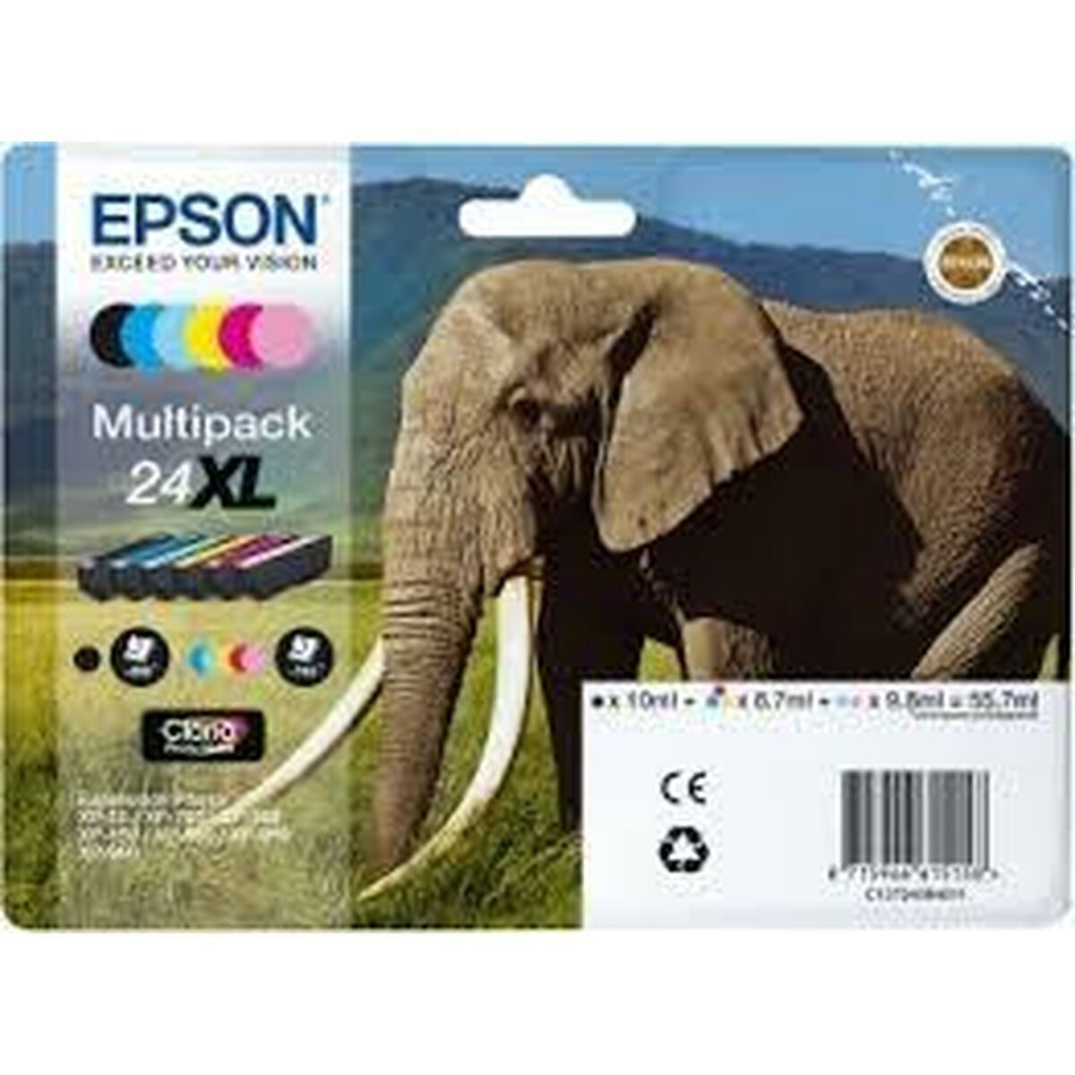 Epson 24XL Γνήσιο Πακέτο 6 Μελανιών Εκτυπωτή InkJet Μαύρο / Πολλαπλό (Color) (C13T24384021)