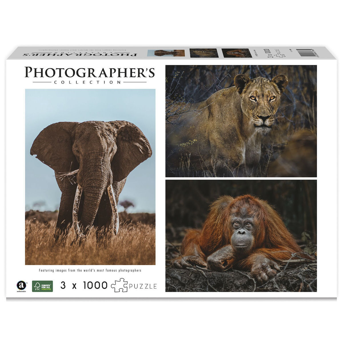 Puzzle Wildlife Eye Contact 2D 3000 Κομμάτια