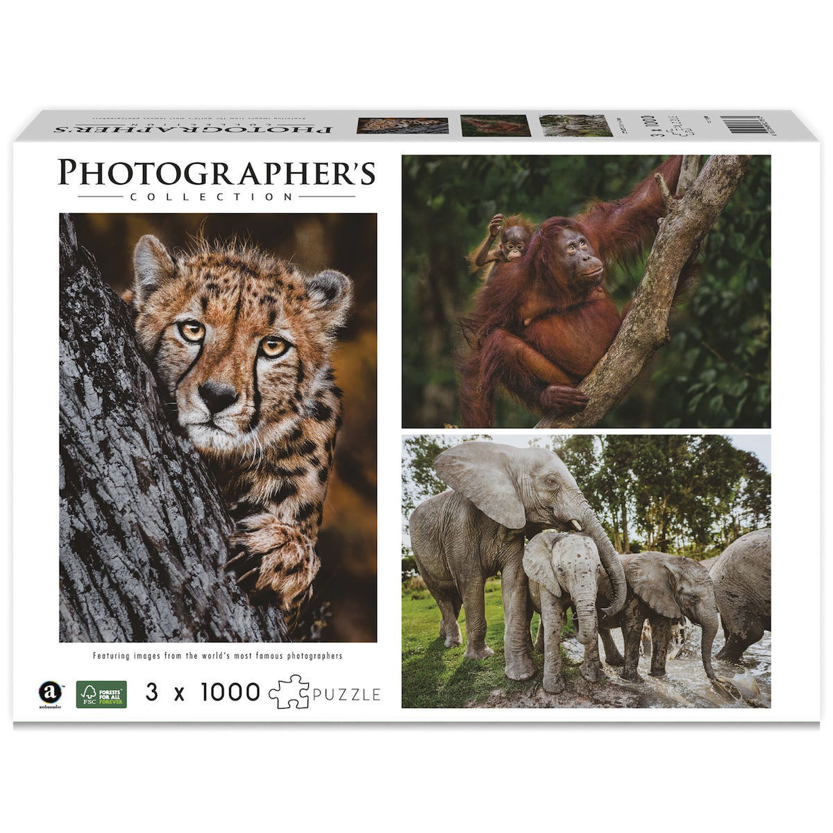 Puzzle 2D 1000pcs 7230787