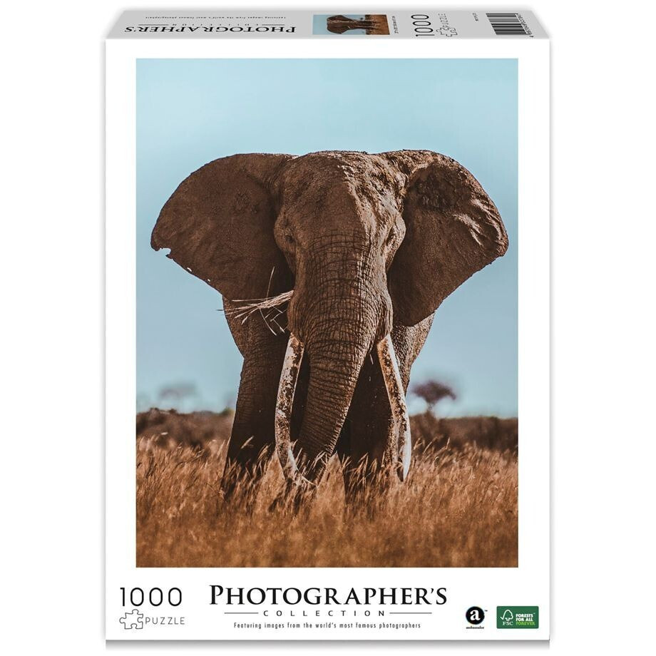 Puzzle 2D 1000pcs 7230784