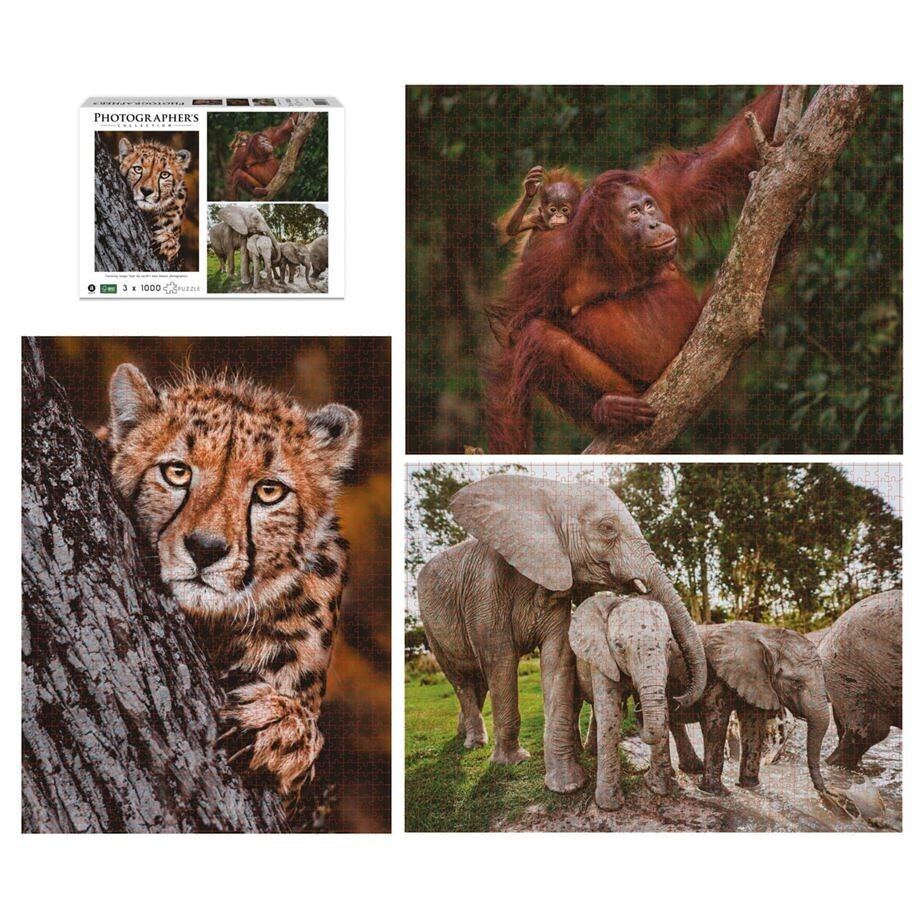 Puzzle 2D 1000pcs 7230787 - Image 2