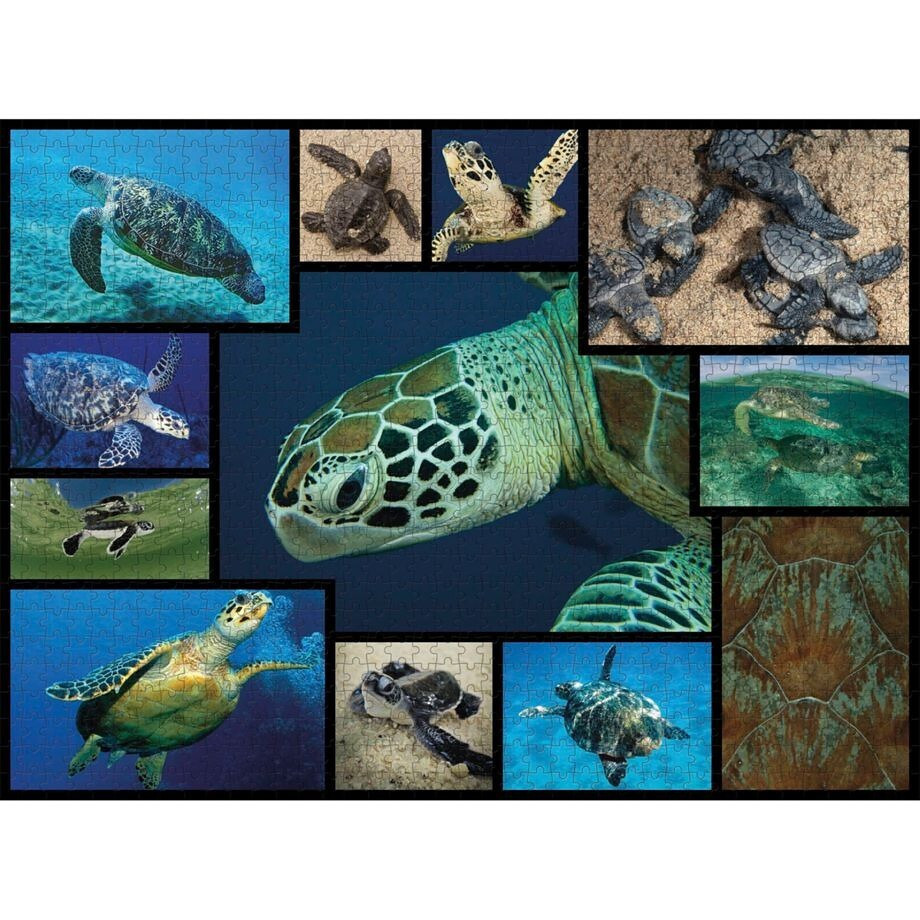 Puzzle Sea Turtles 2D 1000 Κομμάτια - Image 2