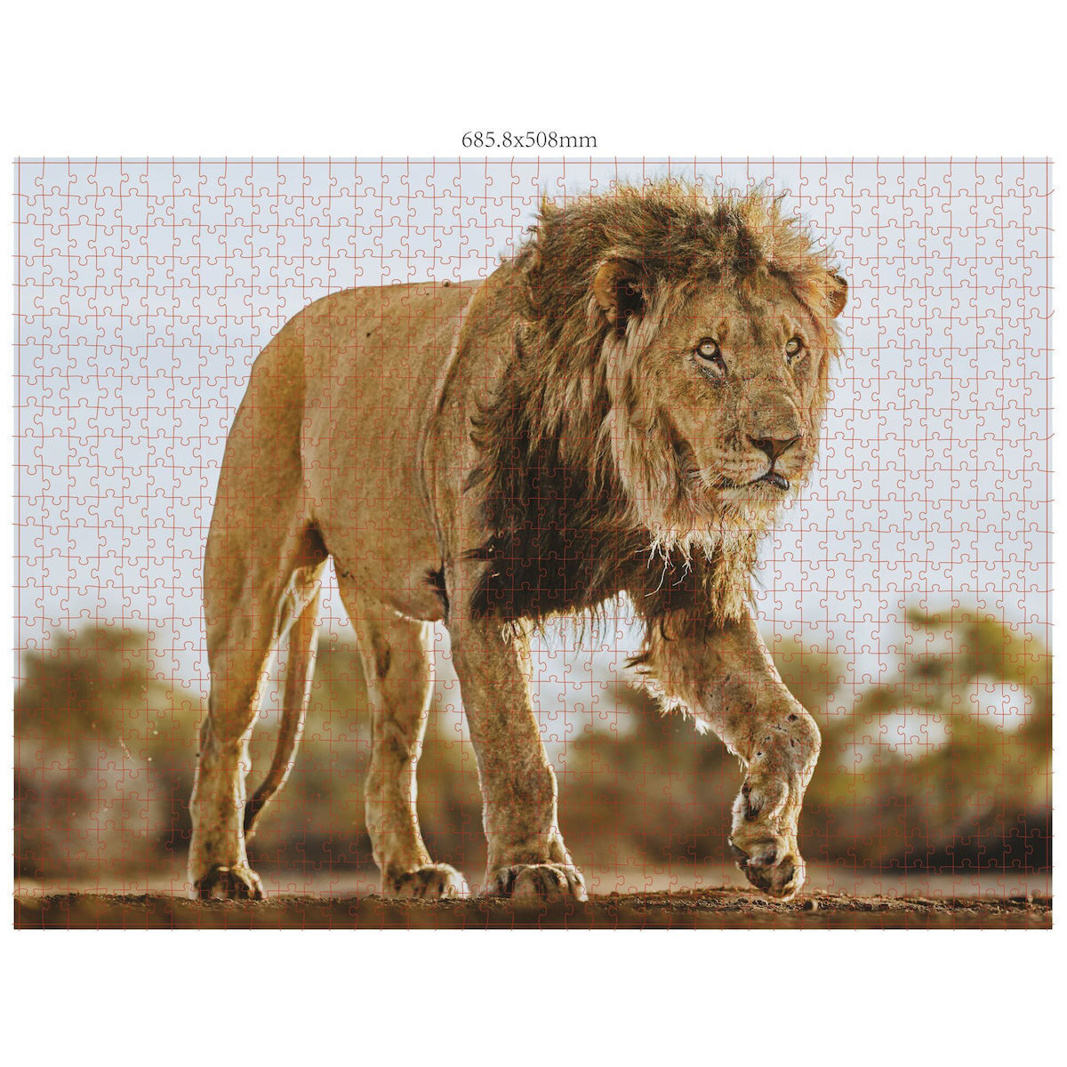 Puzzle Wildlife 2D 3000 Κομμάτια - Image 4