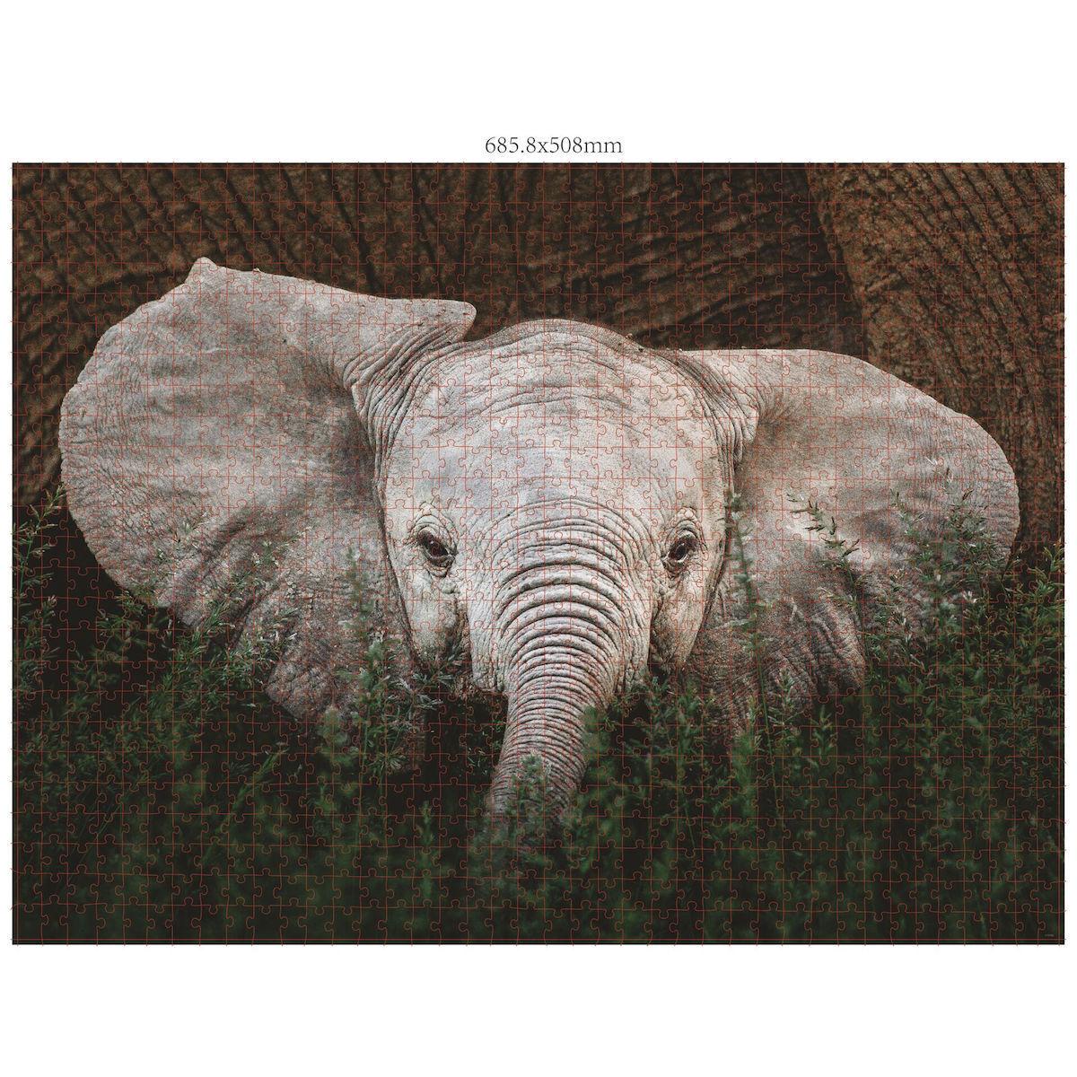 Puzzle Wildlife 2D 3000 Κομμάτια - Image 3