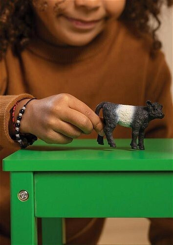 Schleich-S Παιχνίδι Μινιατούρα Farm World Galloway Calf Μαύρο για 3+ Ετών - Image 3