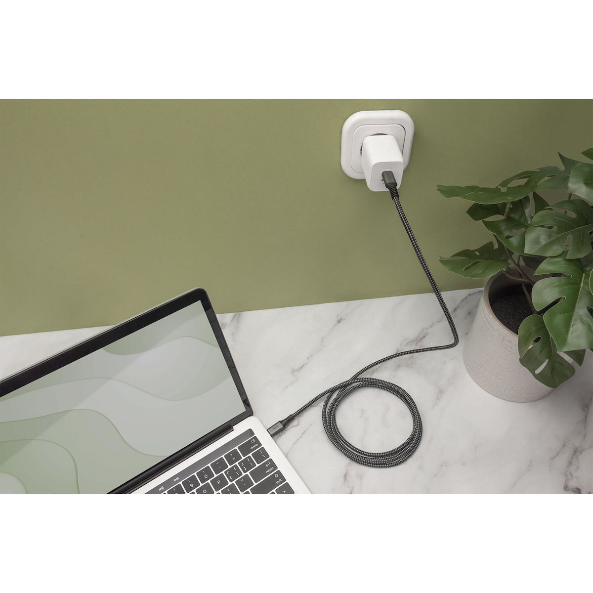 Digitus USB 2.0 USB-C male - USB-C 3m (DB-300443-030-S) - Image 4