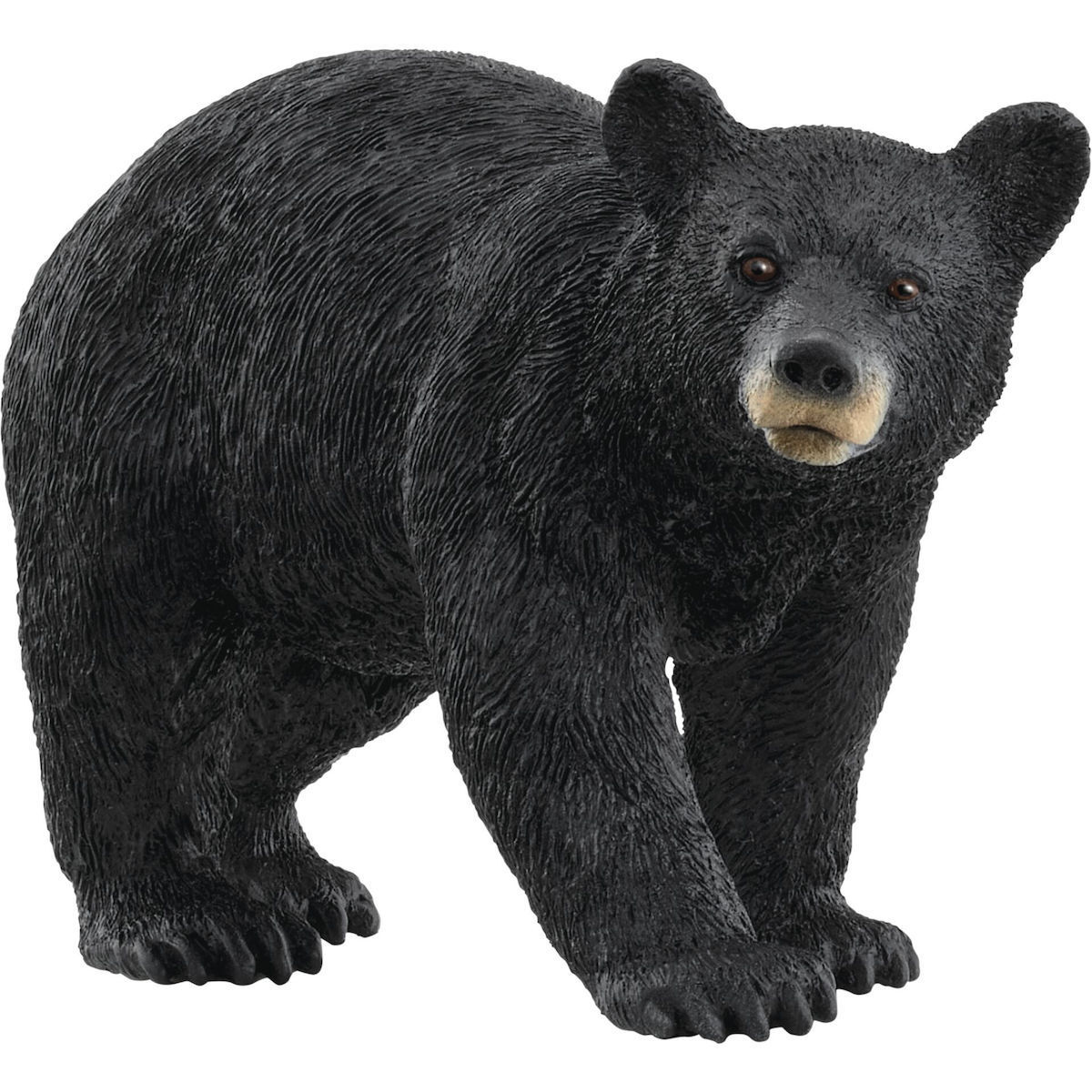 Schleich-S Παιχνίδι Μινιατούρα Wild Life για 3-8 Ετών