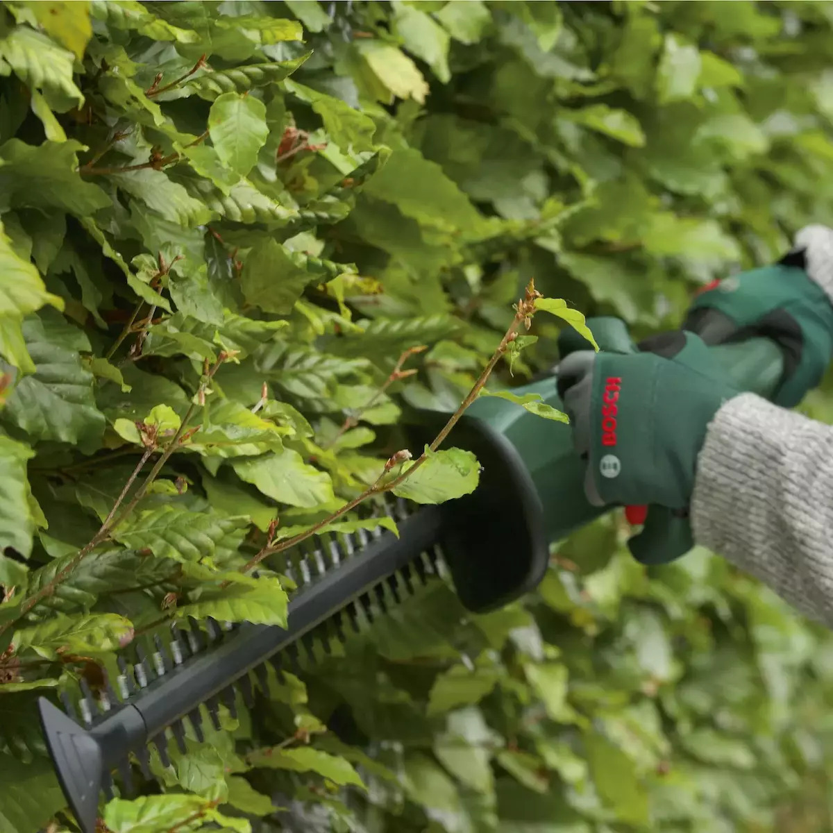 Bosch Easy HedgeCut 18V-52-13 Μπορντουροψάλιδο Μπαταρίας 18V με Μήκος Λάμας 52cm Solo - Image 7
