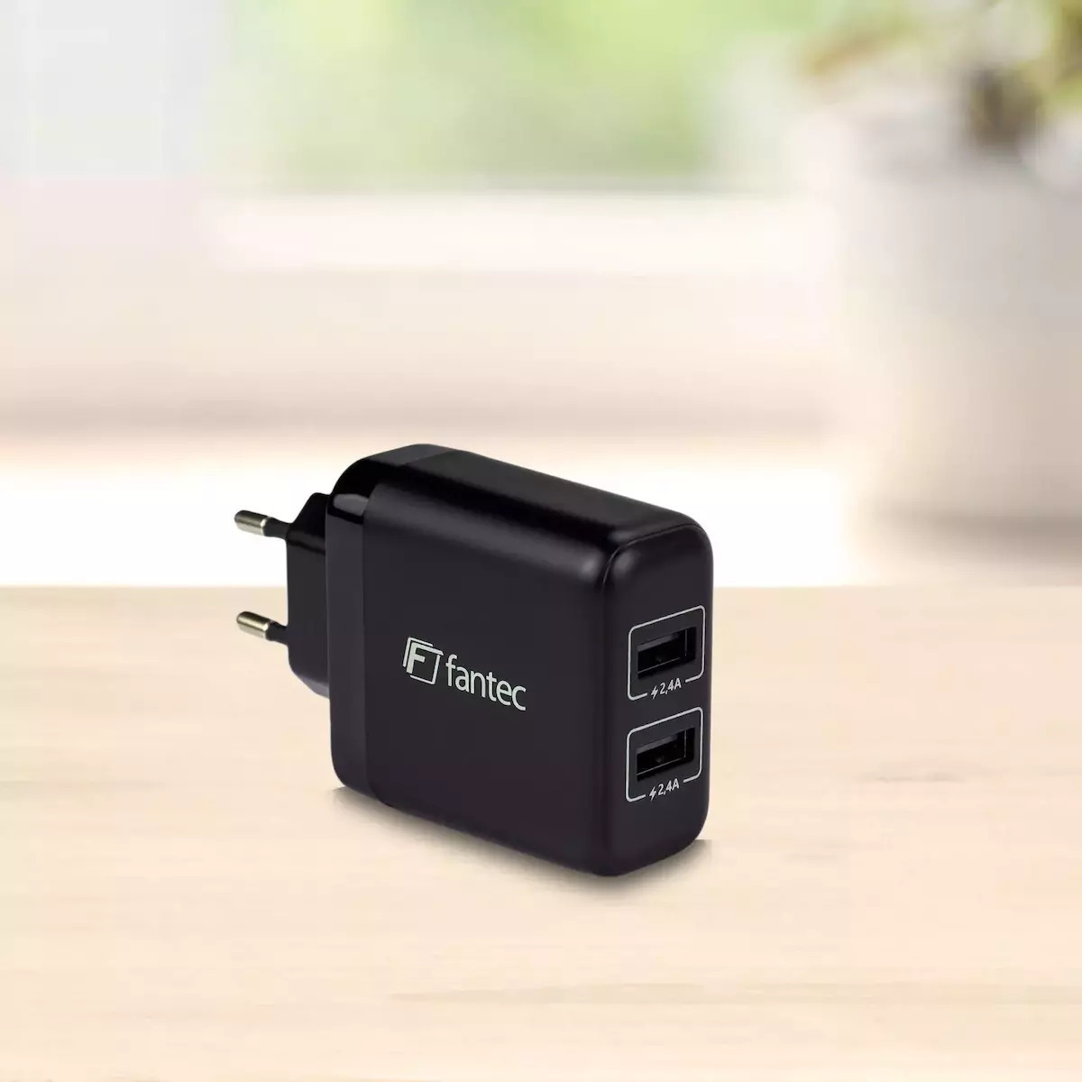 Fantec Sc-a224 Χωρίς Καλώδιο 24W - Image 3
