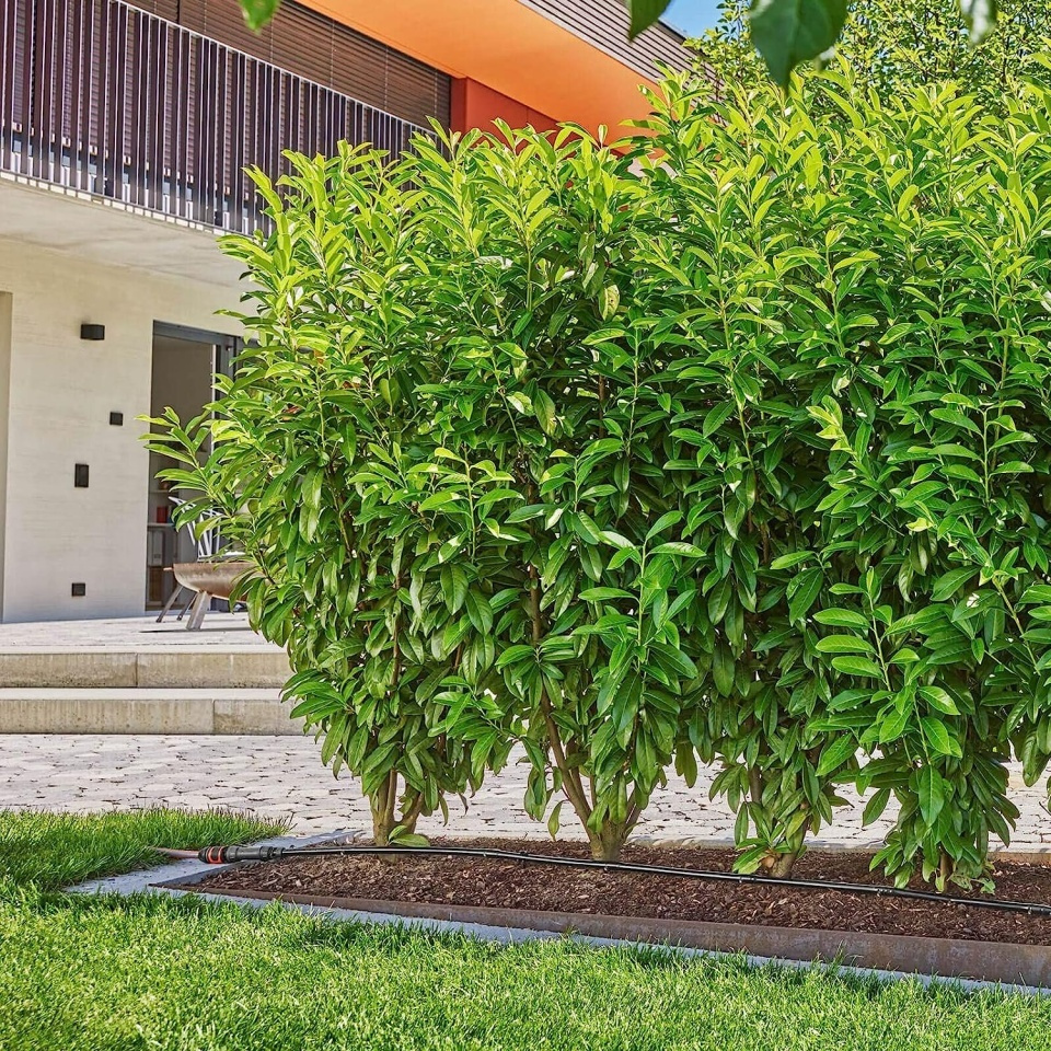 Gardena Micro-Drip System Σύστημα Αυτοποτισμού για Γλάστρες 1τμχ - Image 4