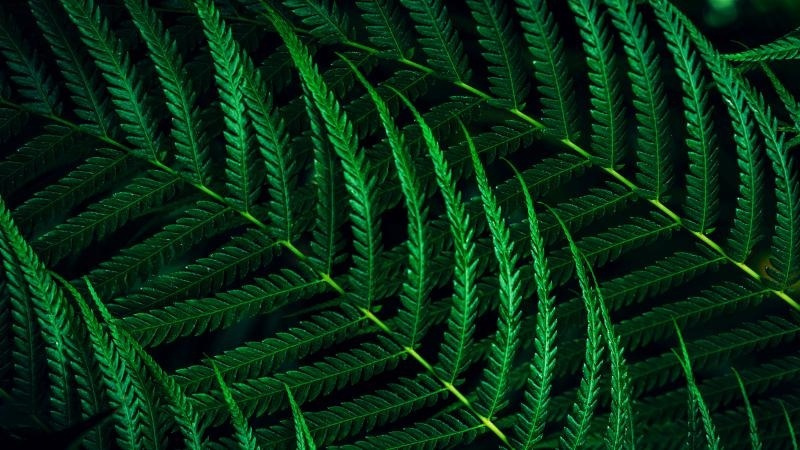 Philips 27B2G5500 27" IPS QHD 2560x1440 - Image 5