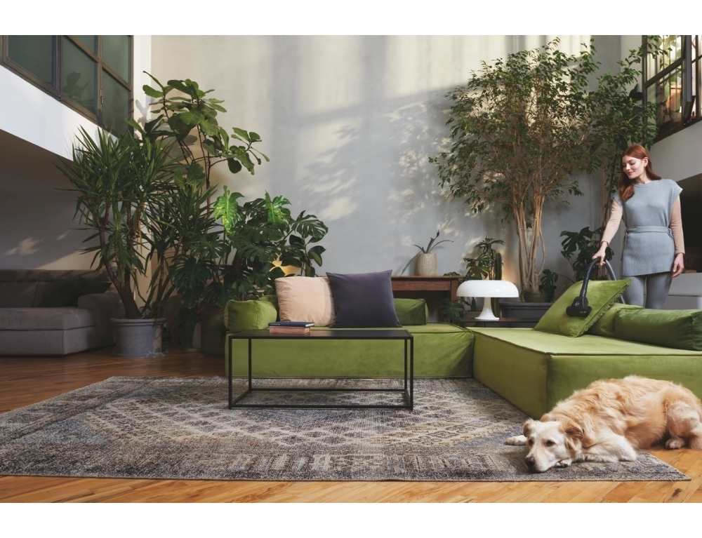 Hoover 700W με Κάδο Μαύρη HP120PET 011 - Image 8